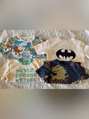 Toddler Boy Shirt Bundle